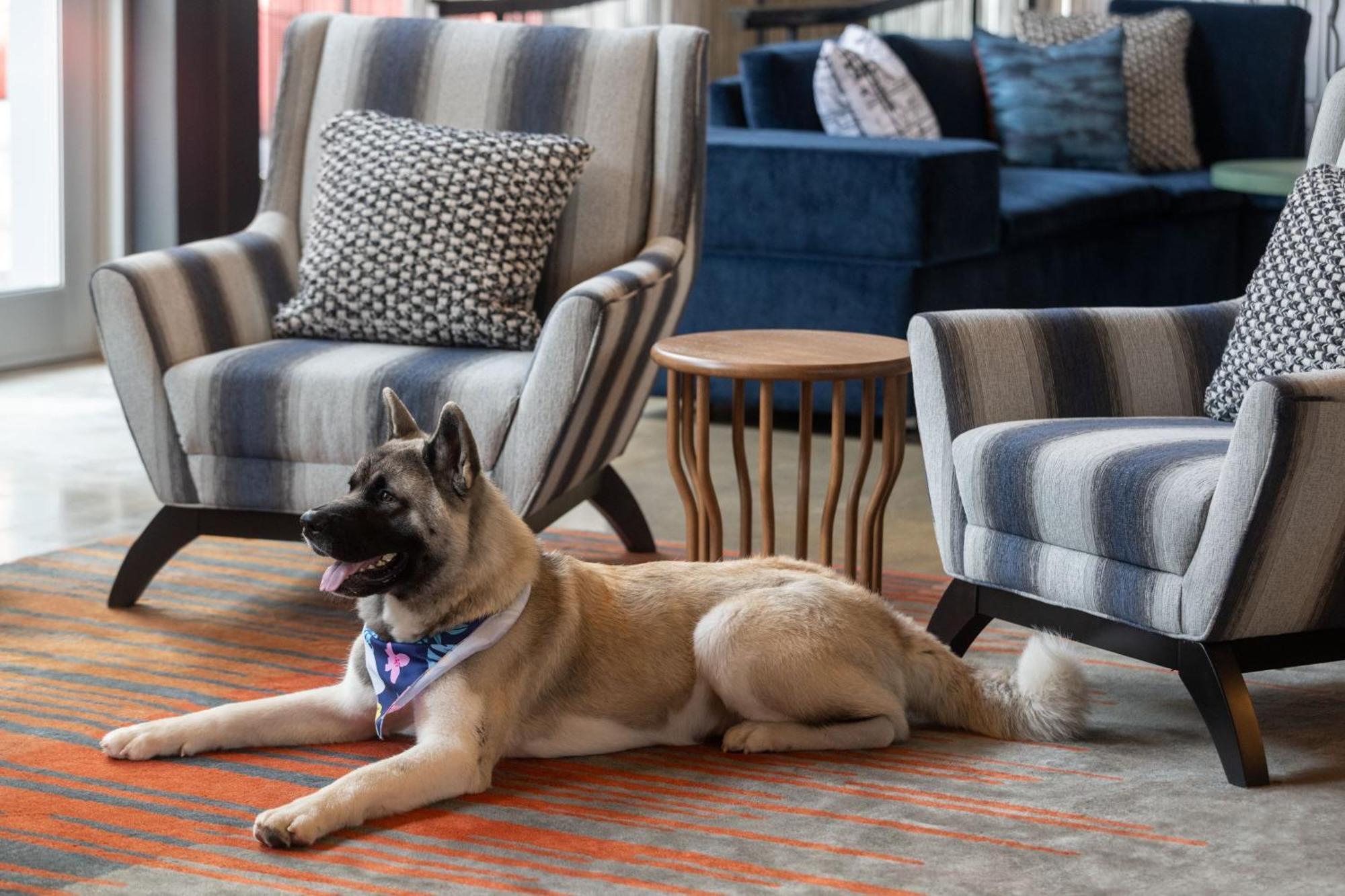 Aloft Beachwood Ngoại thất bức ảnh